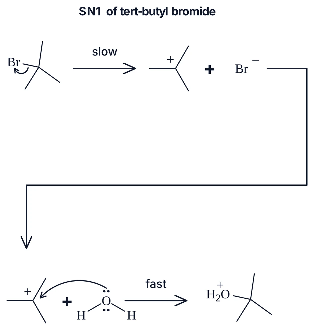 Two-step SN1 mechanism drawn from MolScript: ionisation to the tert-butyl cation with the C–Br bond breaking onto bromine, then water attacking the carbocation