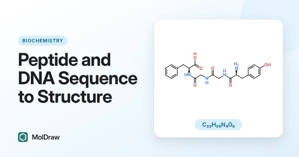 Struttura scheletrica del tetrapeptide Tyr-Gly-Gly-Phe con i suoi legami peptidici e la formula molecolare