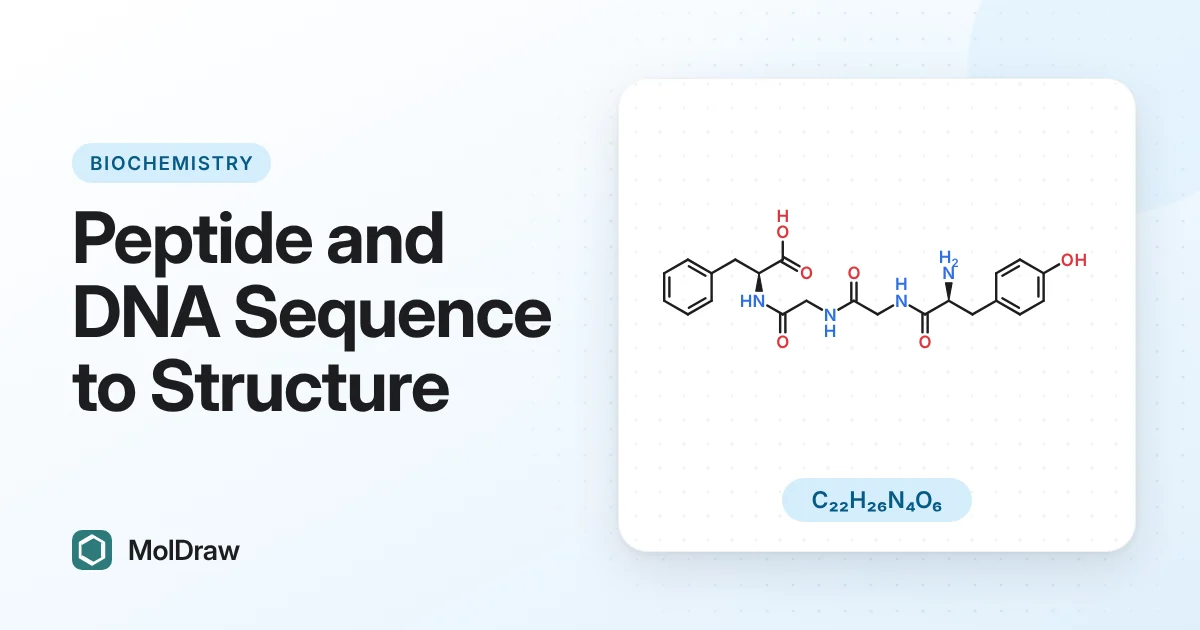 Skeletal structure of the tetrapeptide Tyr-Gly-Gly-Phe with its peptide bonds and molecular formula