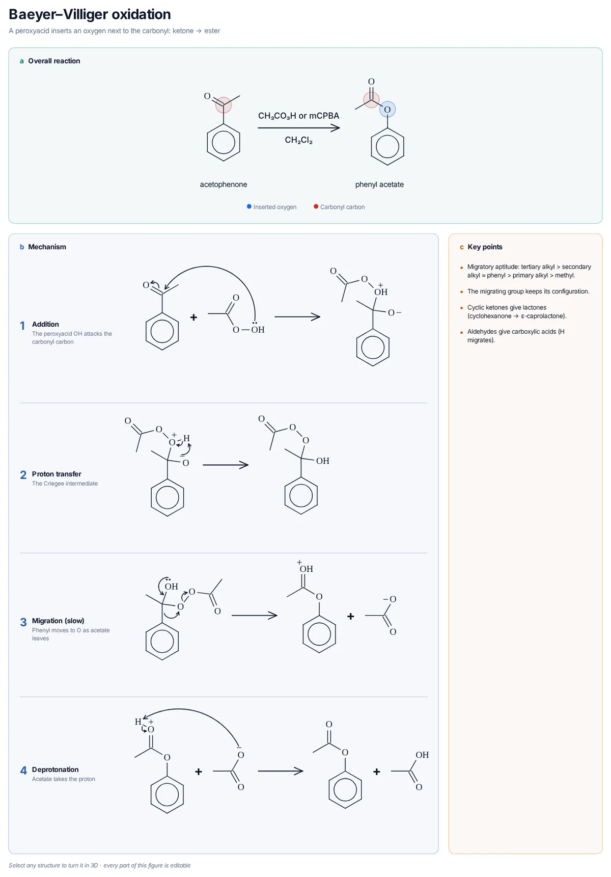 Baeyer–Villiger Oxidation mechanism: Peracetic acid adds to acetophenone (Criegee intermediate); the phenyl group, the better migrating group, moves to oxygen to give phenyl acetate.