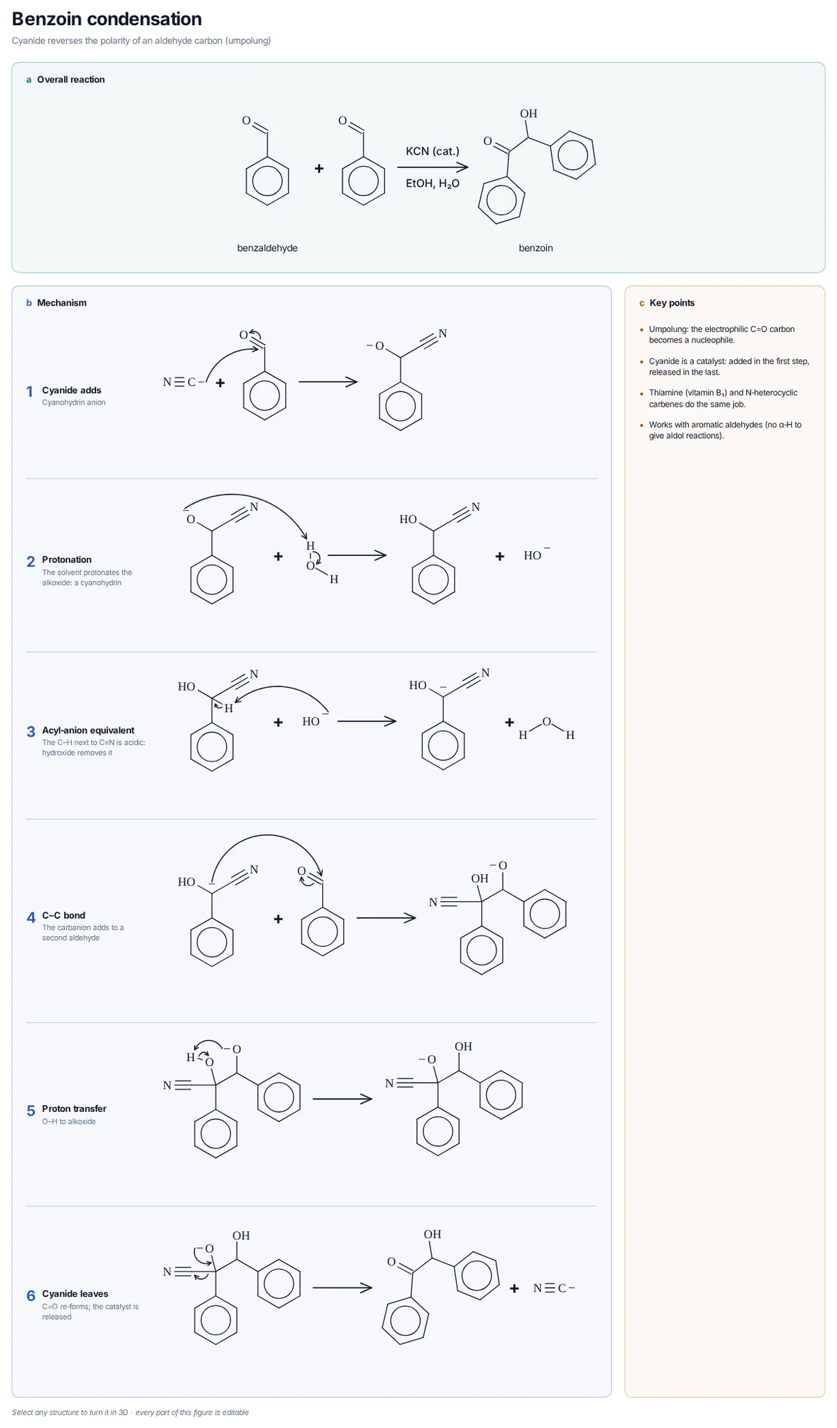 Benzoin Condensation mechanism: Cyanide adds to benzaldehyde, a proton transfer makes the carbon nucleophilic, it adds to a second benzaldehyde and cyanide leaves to give benzoin.