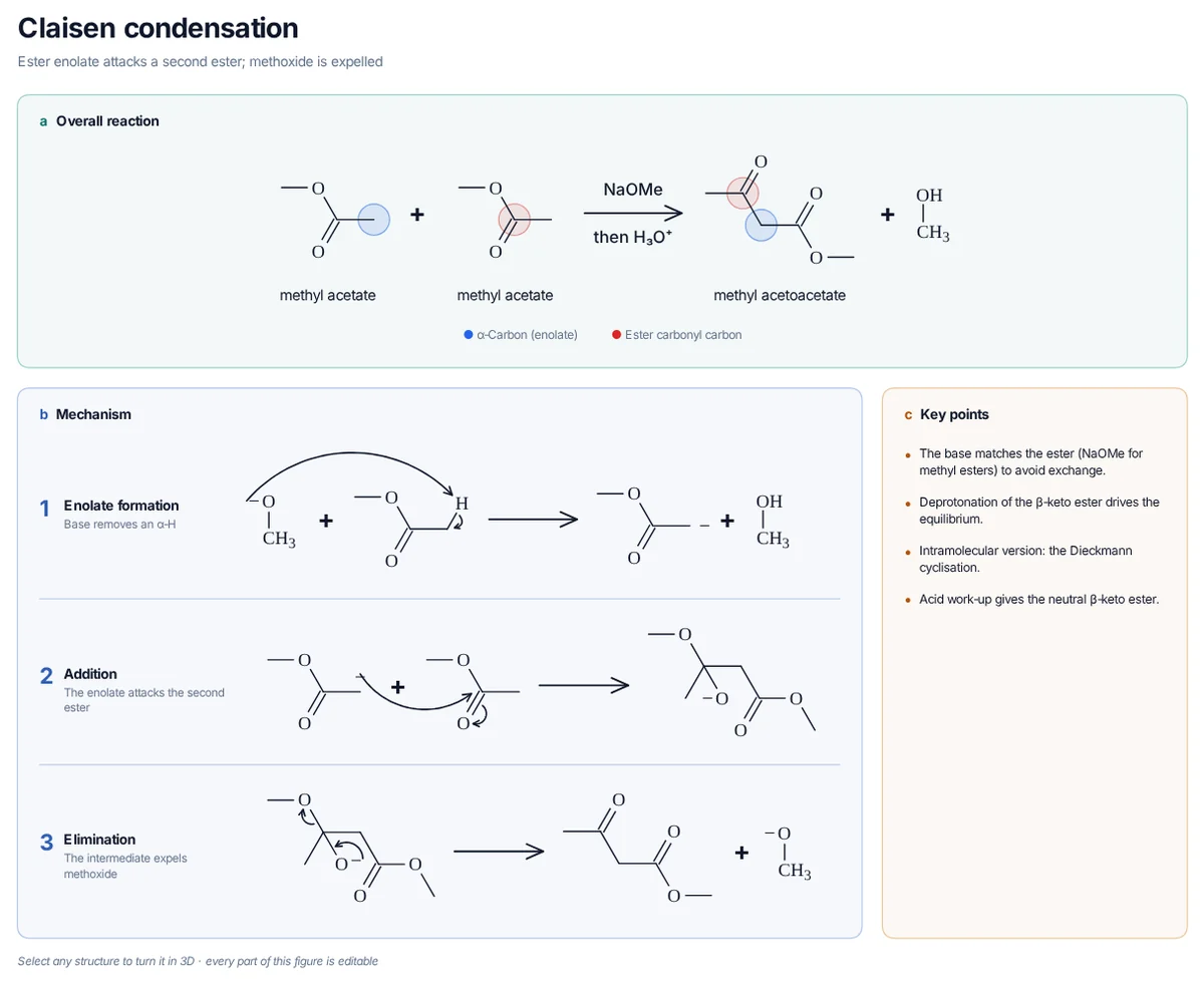 Claisen Condensation mechanism: Methyl acetate condenses with itself to methyl acetoacetate (a β-keto ester).