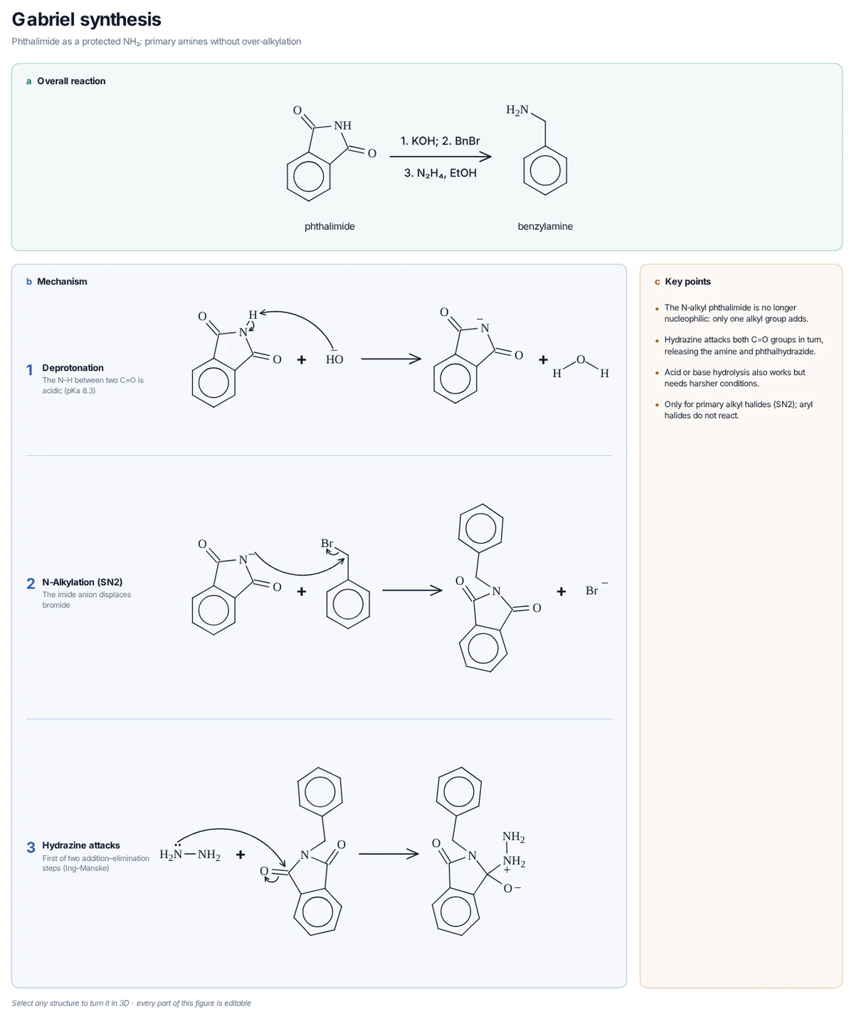 Gabriel Phthalimide Synthesis: MolDraw template with the overall reaction and every curly-arrow step