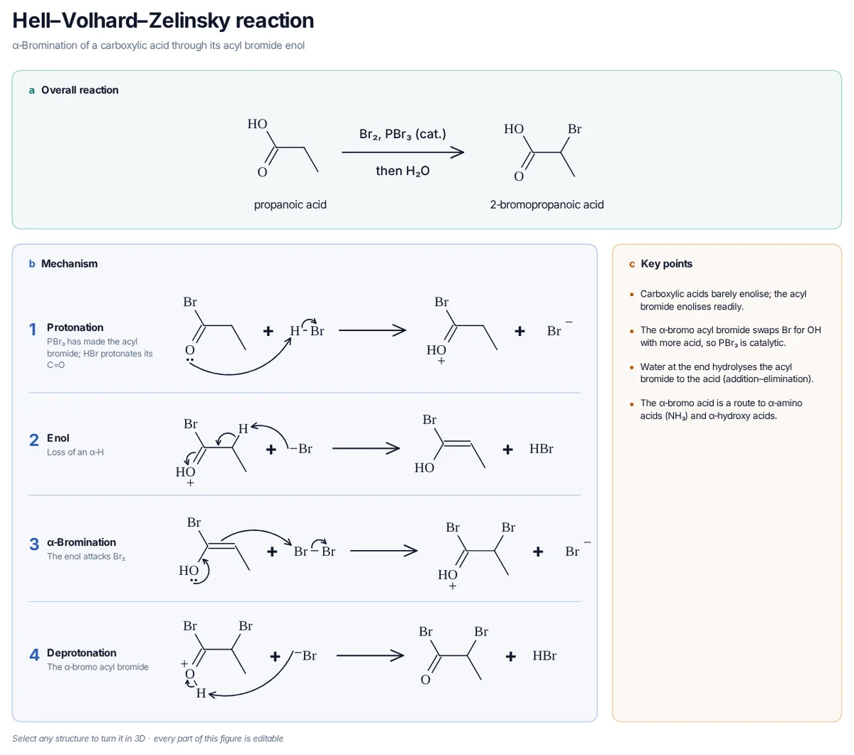 Hell–Volhard–Zelinsky Reaction mechanism: PBr₃ makes the acyl bromide, which enolises; the enol attacks Br₂ and hydrolysis gives 2-bromopropanoic acid.