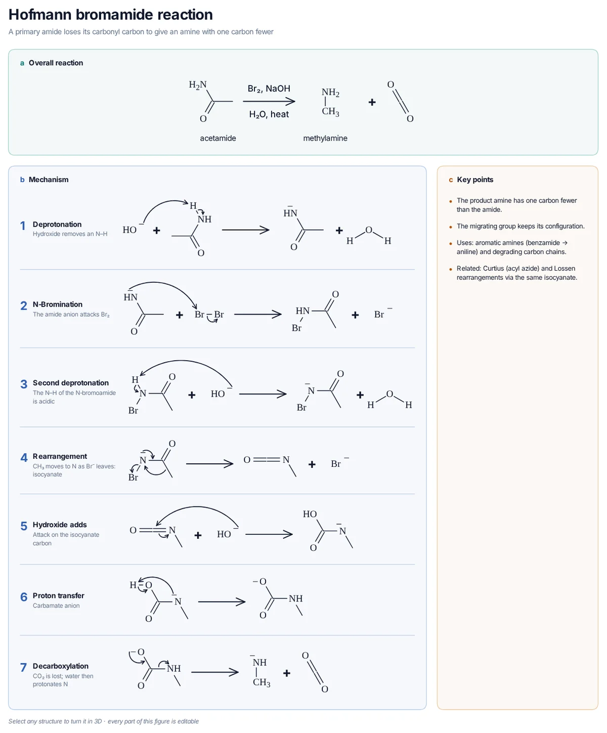 Hofmann Bromamide Reaction mechanism: N-bromination, migration of the alkyl group to nitrogen (isocyanate), hydration and decarboxylation turn acetamide into methylamine.
