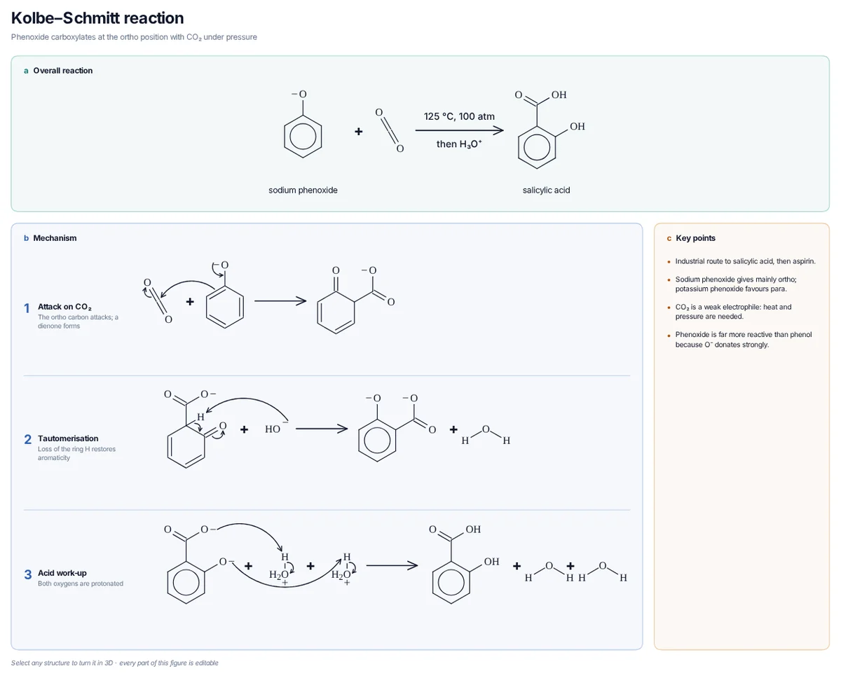 Kolbe–Schmitt Reaction mechanism: Phenoxide attacks CO₂ through its ring carbon, the dienone tautomerises and acid work-up gives salicylic acid.