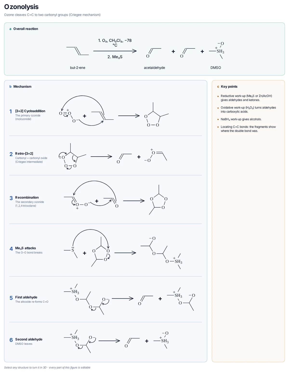 Ozonolysis mechanism: Ozone adds to but-2-ene (molozonide), which splits to acetaldehyde and a carbonyl oxide; they recombine to the ozonide, and Me₂S reduces it to two acetaldehydes and DMSO.