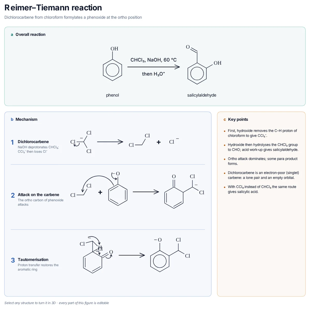 Reimer–Tiemann Reaction mechanism: Base turns CHCl₃ into :CCl₂, phenoxide attacks it at the ortho carbon and hydrolysis of the CHCl₂ group gives salicylaldehyde.