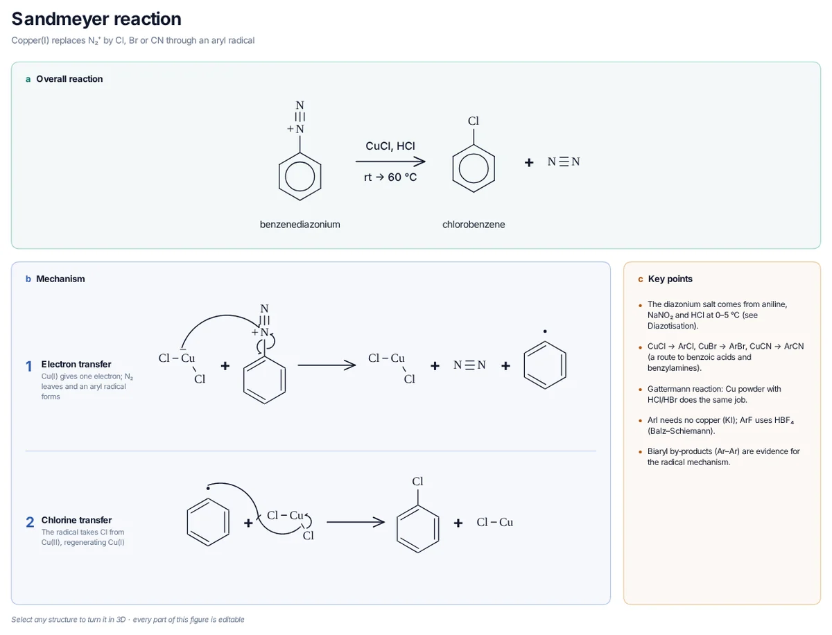 Sandmeyer Reaction mechanism: CuCl₂⁻ gives one electron to benzenediazonium, which loses N₂ to a phenyl radical; the radical takes Cl from copper(II) and copper(I) is regenerated.