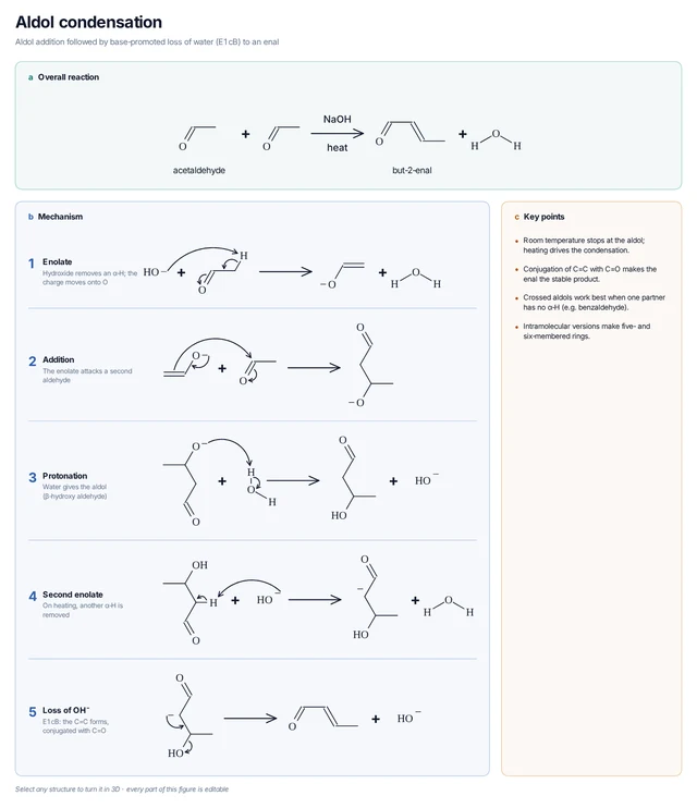 Aldol condensation template: Two acetaldehydes give crotonaldehyde: enolate formation, addition, protonation, deprotonation and loss of hydroxide.