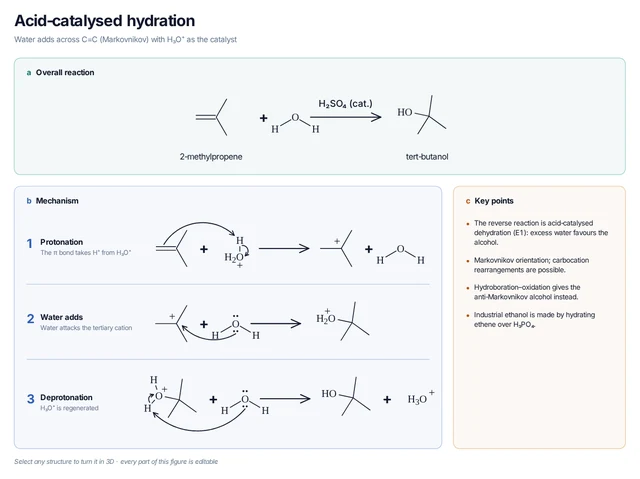 Acid-catalysed hydration template: 2-Methylpropene takes H⁺ to form the tert-butyl cation, water adds and loses H⁺ to give tert-butanol.