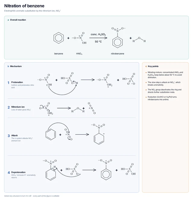 Nitration of benzene template: Sulfuric acid makes NO₂⁺ from nitric acid; the ring attacks it and loses H⁺ to give nitrobenzene.