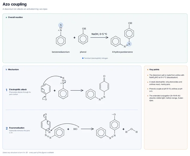 Azo coupling mechanism template