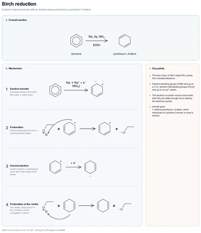Birch reduction template: Solvated electrons add to benzene one at a time; each anion takes a proton from ethanol. The second protonation happens at the centre of the pentadienyl anion, so the product is the non-conjugated 1,4-diene.