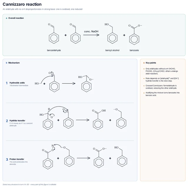 Cannizzaro reaction mechanism template