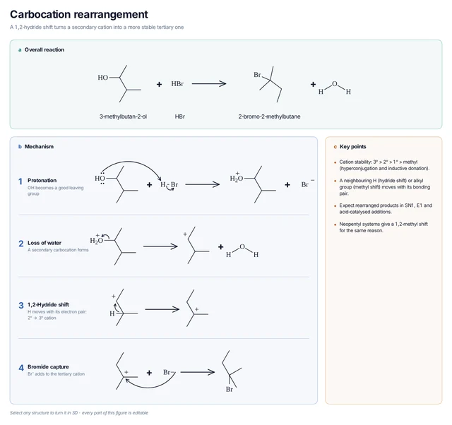 Carbocation rearrangement template: 3-Methylbutan-2-ol with HBr: protonation, loss of water, 1,2-hydride shift and bromide capture give the tertiary bromide.