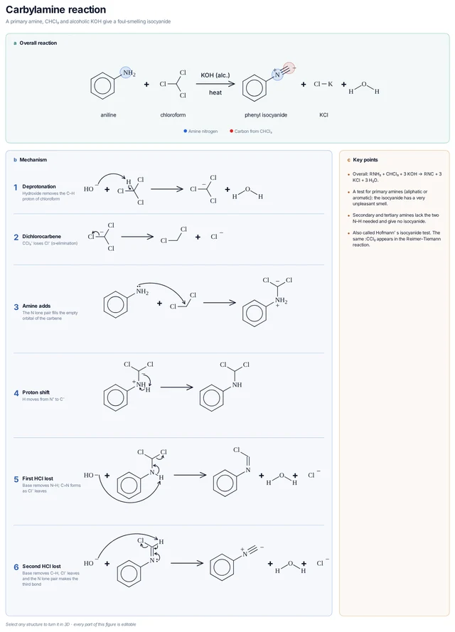 Carbylamine reaction template preview