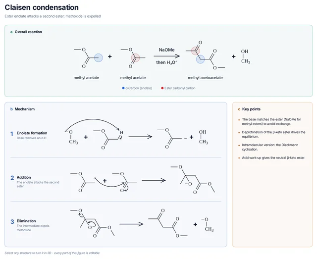 Claisen condensation mechanism template