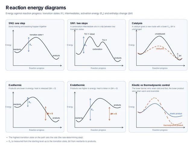 Reaction energy diagrams template preview