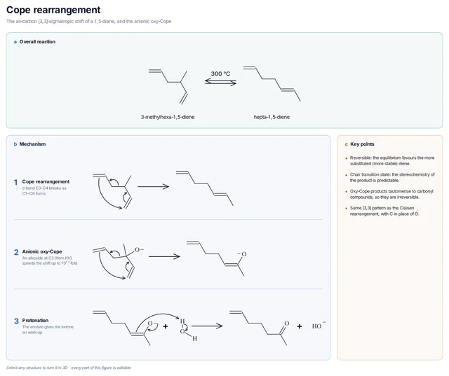 Cope rearrangement mechanism template