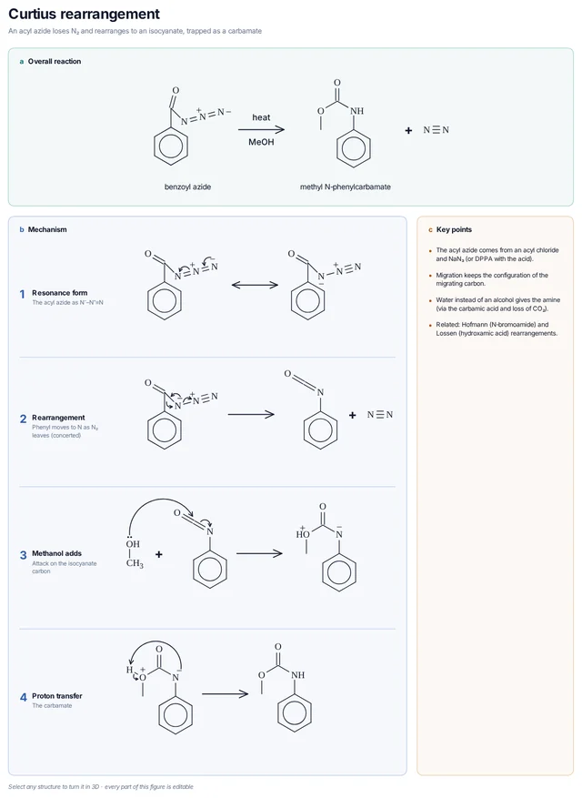 Curtius rearrangement mechanism template