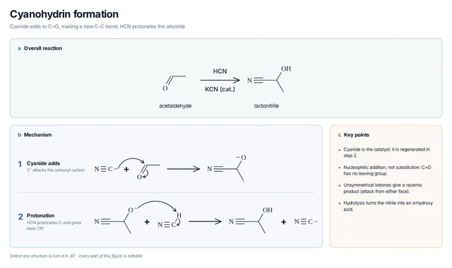 Cyanohydrin formation template: Cyanide attacks acetaldehyde and HCN protonates the alkoxide, giving lactonitrile and regenerating cyanide.