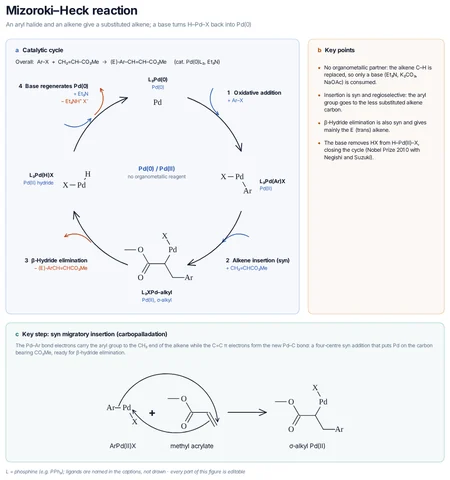 Mizoroki–Heck reaction template preview