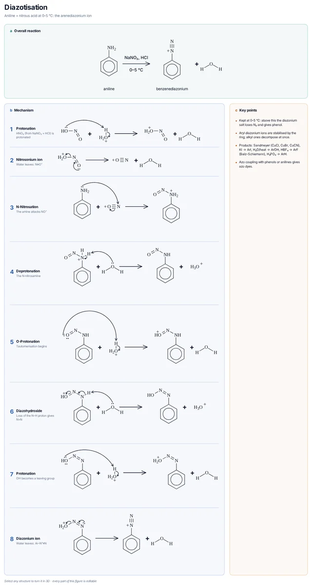 Diazotisation mechanism template