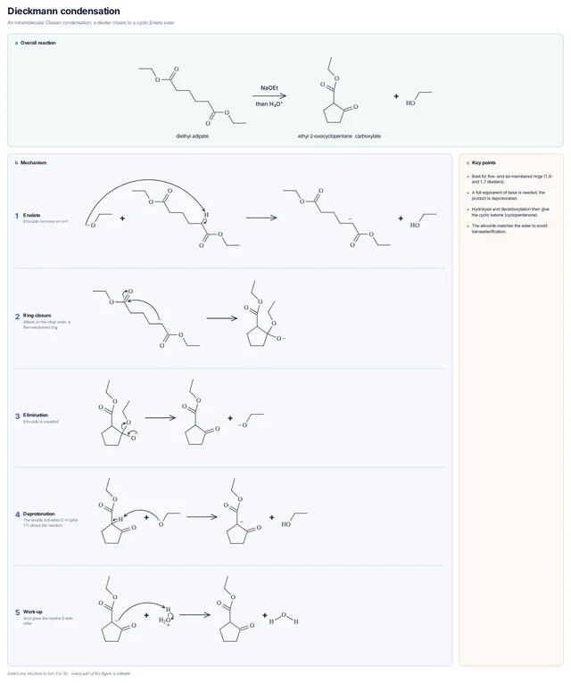 Dieckmann condensation mechanism template