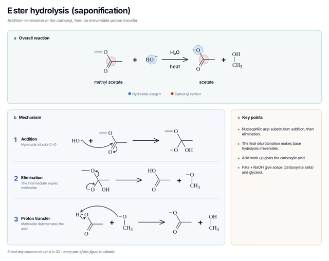 Ester hydrolysis (saponification) template: Hydroxide hydrolyses methyl acetate through the tetrahedral intermediate to acetate and methanol.