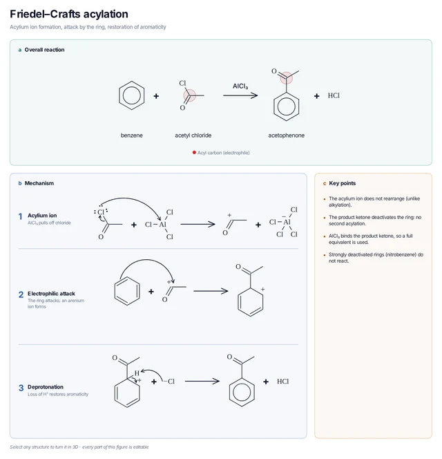 Friedel–Crafts acylation mechanism template