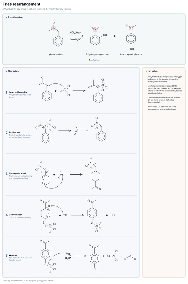 Fries rearrangement template preview