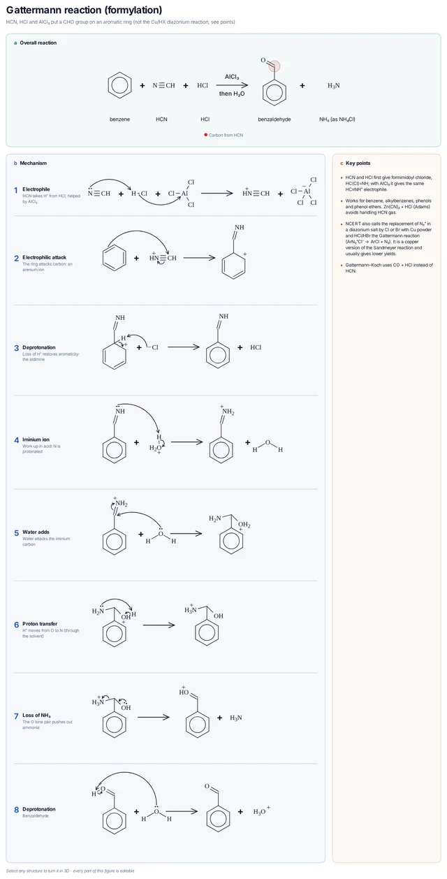 Gattermann reaction (formylation) template: HCN is protonated (HCl/AlCl₃) to the electrophile HC≡NH⁺; benzene attacks it, loses H⁺ to give the aldimine, and hydrolysis gives benzaldehyde.