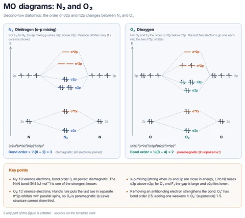 MO diagrams: N₂ and O₂ template preview