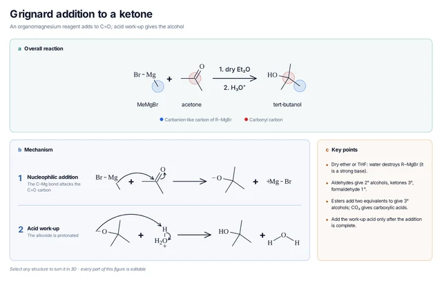 Grignard addition to a ketone mechanism template