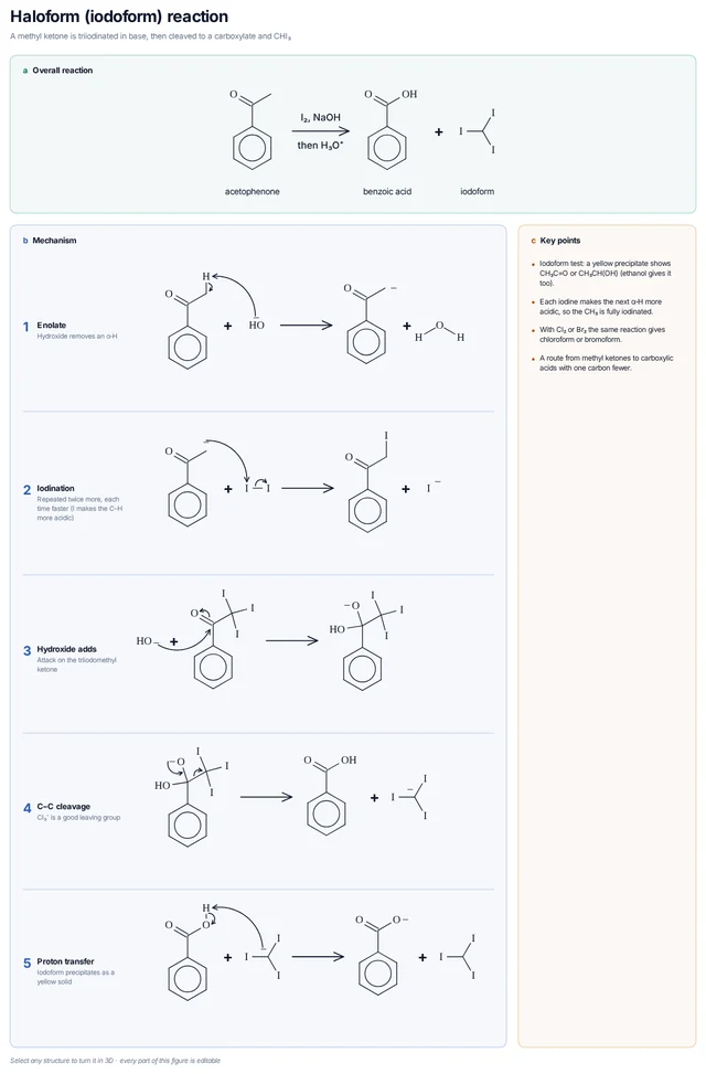Haloform (iodoform) reaction mechanism template
