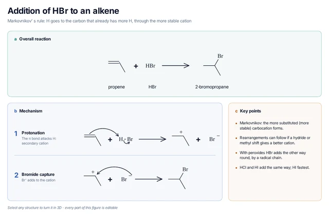 Addition of HBr to an alkene template: Propene and HBr: the π bond takes H⁺ to form the secondary cation, which bromide captures to give 2-bromopropane.
