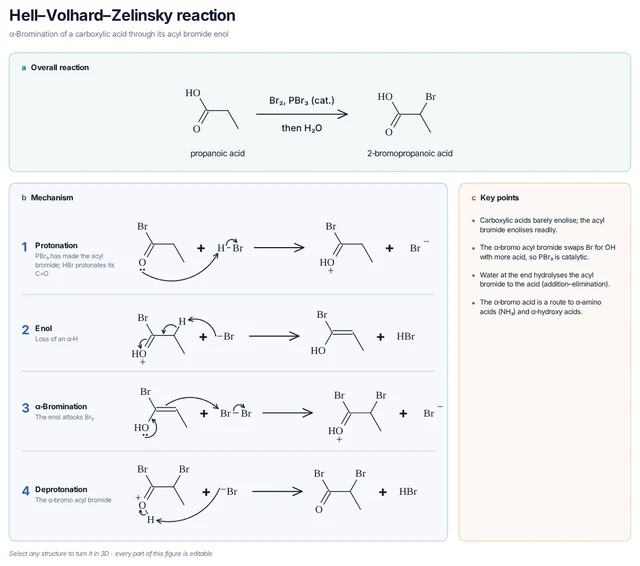 Hell–Volhard–Zelinsky reaction mechanism template