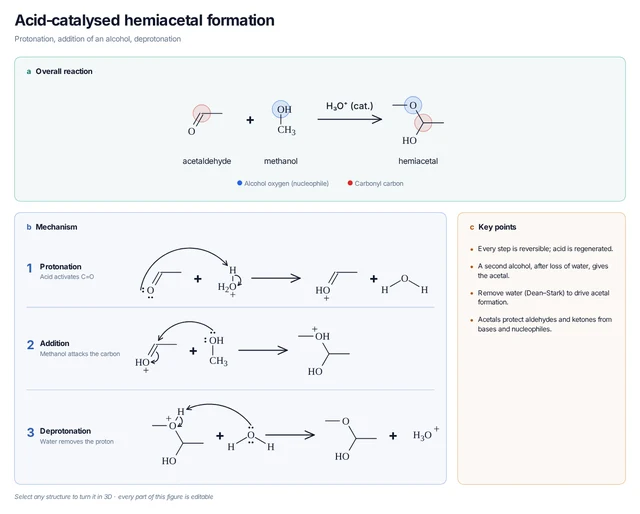Acid-catalysed hemiacetal formation template preview