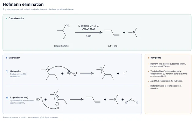 Hofmann elimination mechanism template