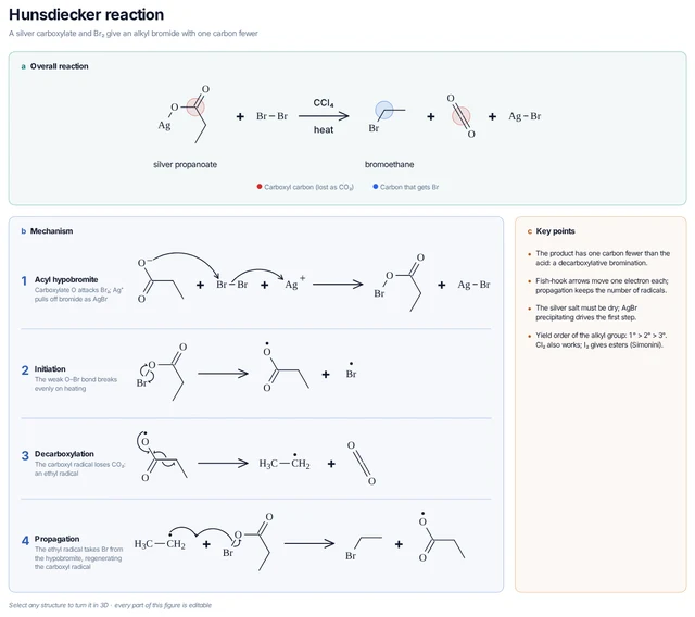Hunsdiecker reaction template preview