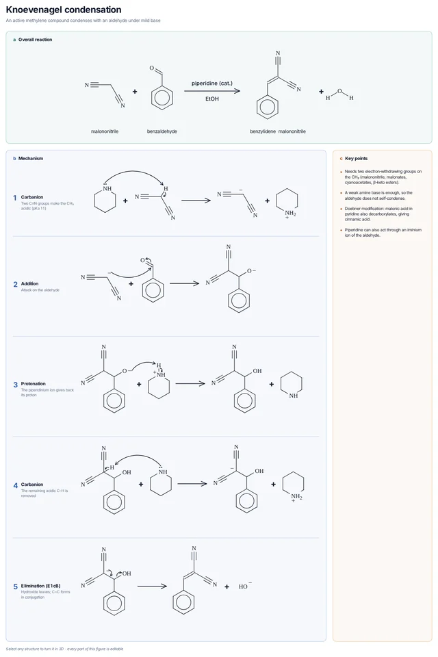 Knoevenagel condensation mechanism template