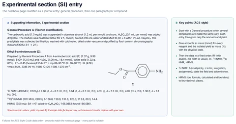 Experimental section (SI) entry template preview