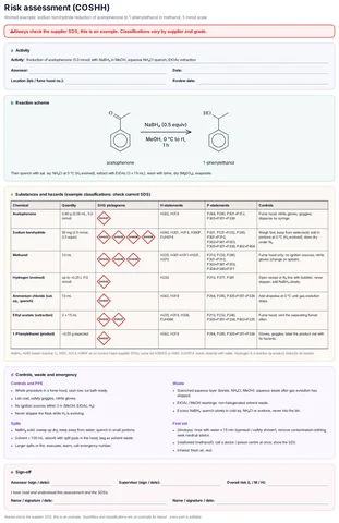 Risk assessment (COSHH) form template preview