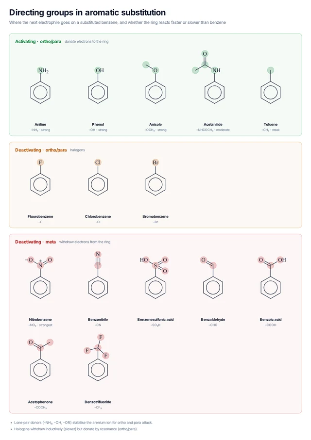 Directing groups in aromatic substitution template: Activating ortho/para directors, deactivating halogens and meta directors, each on a benzene ring.