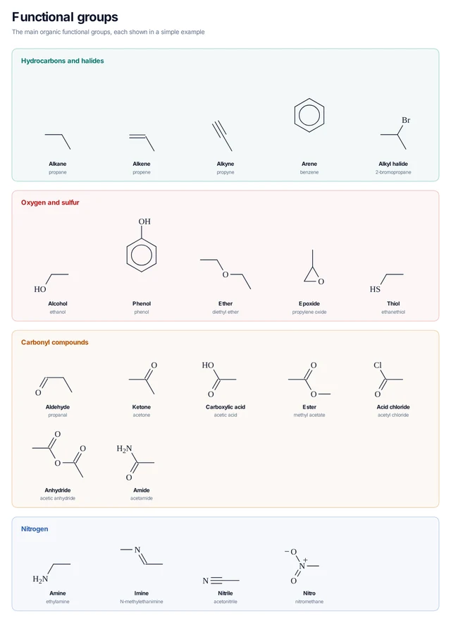 Functional groups template preview