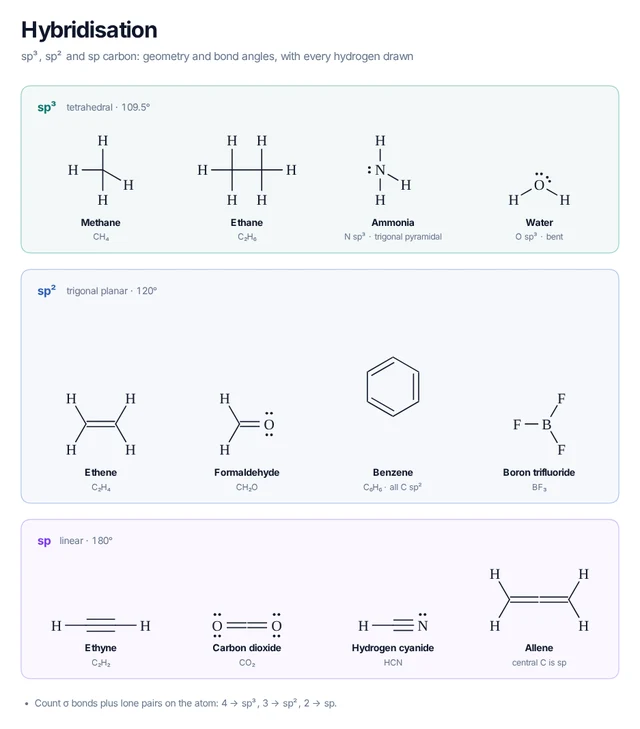 Hybridisation template preview
