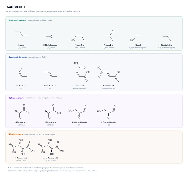 Isomerism template preview