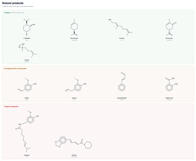 Natural products template preview