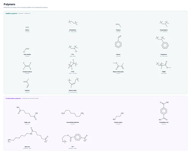 Polymers template preview
